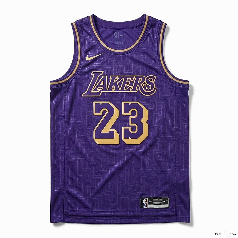 LBJ Lakers retro purple jersey